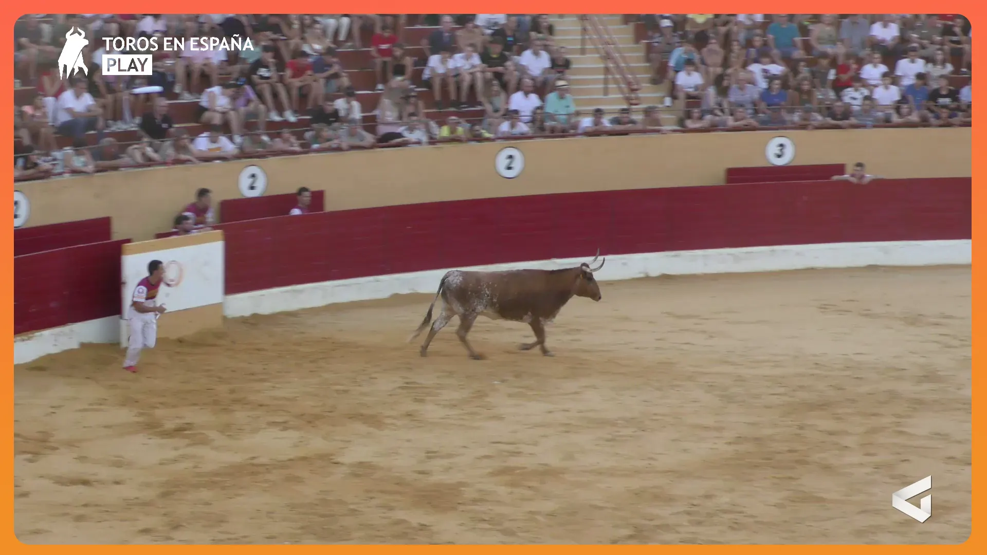 Realizacion Streaming Alagon - (1)